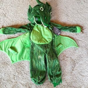 Pottery Barn Dragon Halloween Costume